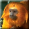 S[fCI^}E^{EV^}